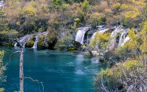 精密高端